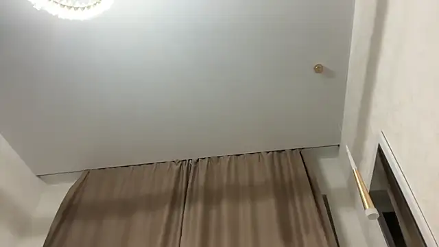 tinykisa webcam