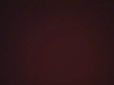 Rato250 webcam