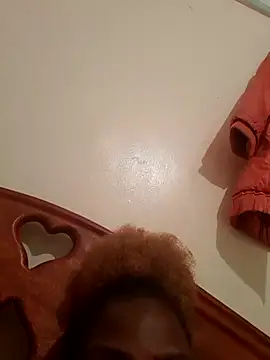 meshje webcam