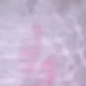 Riya45326 webcam