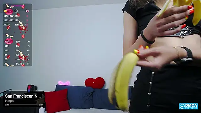 -Lorik- webcam