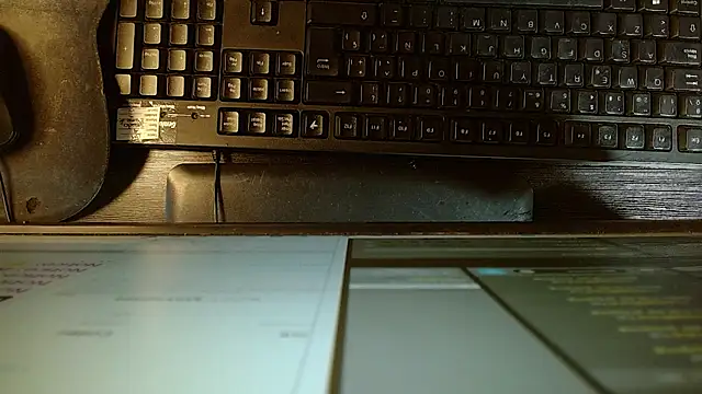 Evelynn_fox_ webcam