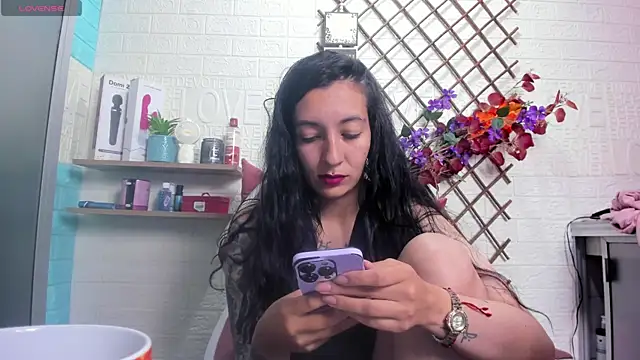 SALOME_KORLAND webcam
