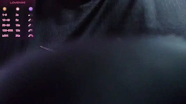BrayaanFit webcam
