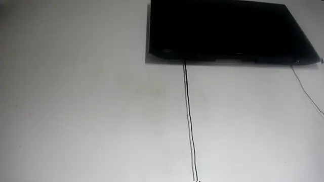 Fox_Loves webcam