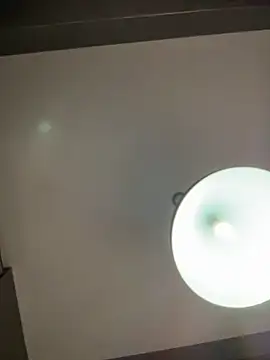 Andrestarr webcam
