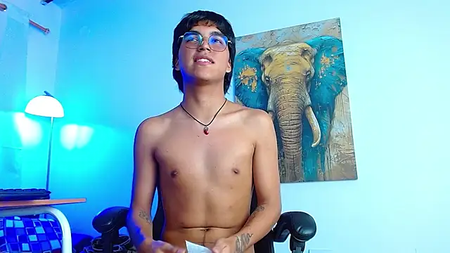 maikcum webcam