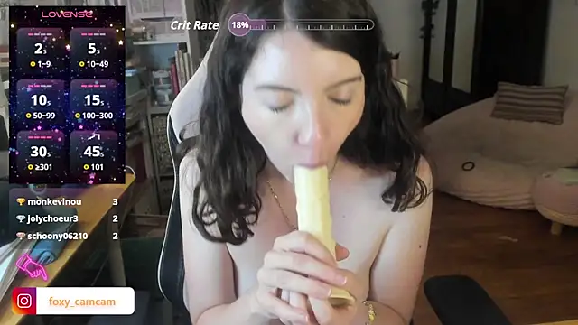 Foxy_c webcam