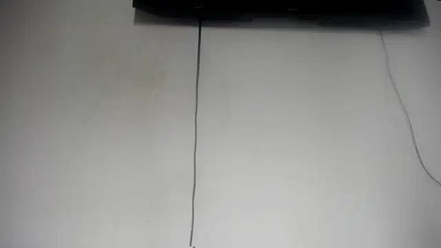 Fox_Loves webcam