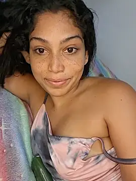 Putaalexa webcam
