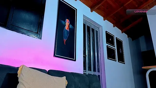 SilvaBranko webcam