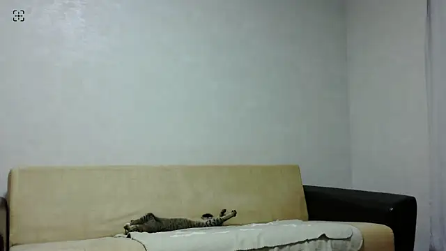 aylinblushing webcam