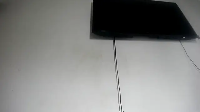Fox_Loves webcam