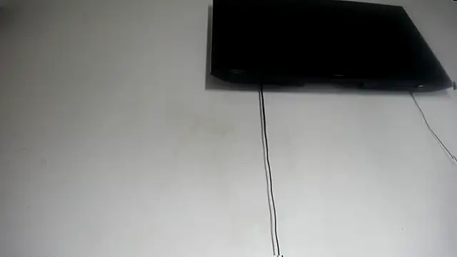 Fox_Loves webcam