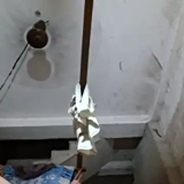 Riya45326 webcam