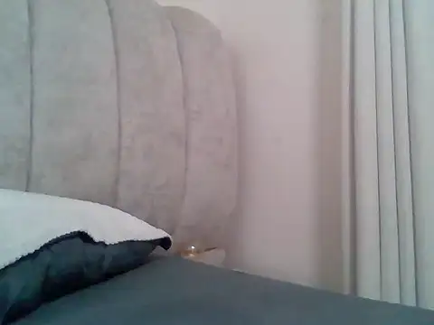 Tehiller webcam