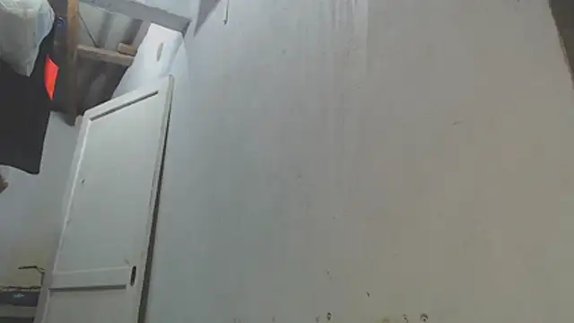 gatoalex89 webcam
