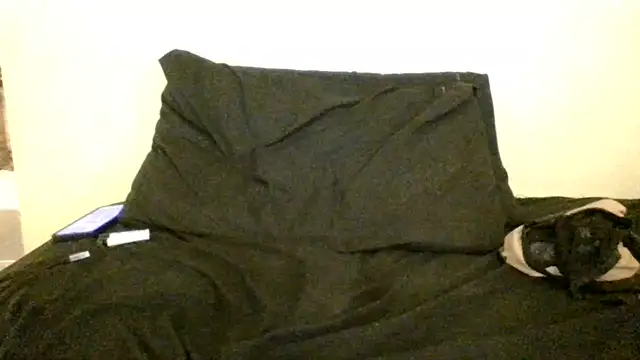 Icepappi webcam