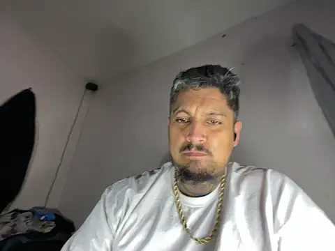 Vision1285 webcam
