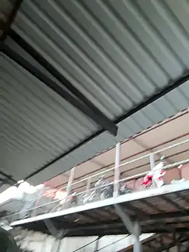 daddyrich_632 (G young) - Show cocks 🔥