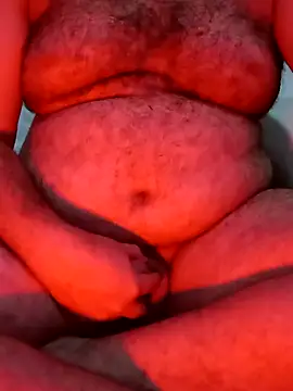 big__bearrr webcam