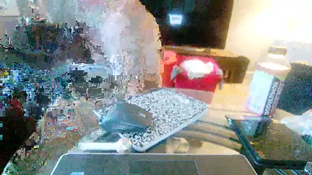 McNasty816 webcam