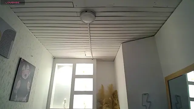 Haddes_as webcam