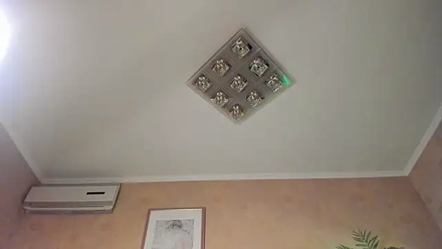 Diamond_D_ webcam