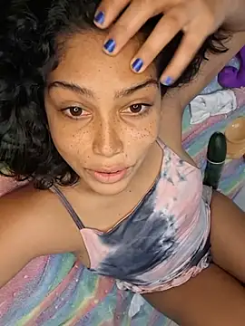 Putaalexa webcam