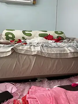 Nana-19 webcam