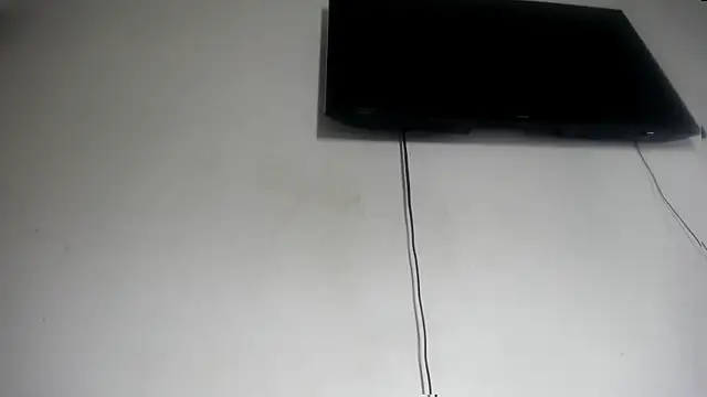 Fox_Loves webcam