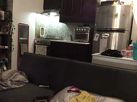 littyleesh1 webcam