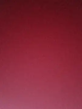 CmCock0019