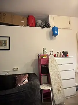 ladyturtle webcam