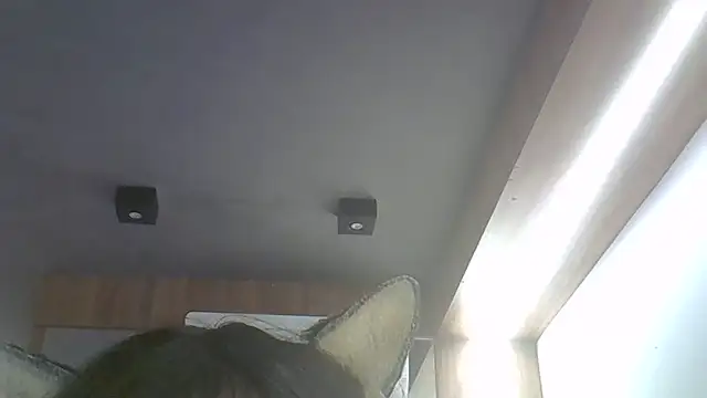 SkinnyKitten webcam