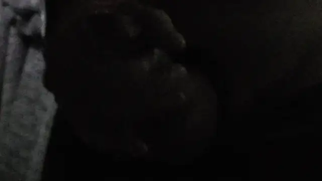 NylonHype live cam on StripChat