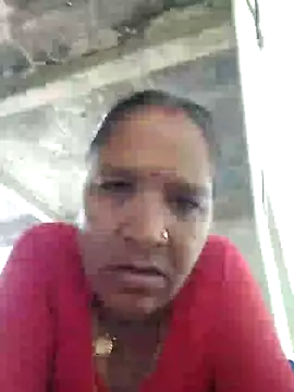Loomaraj webcam