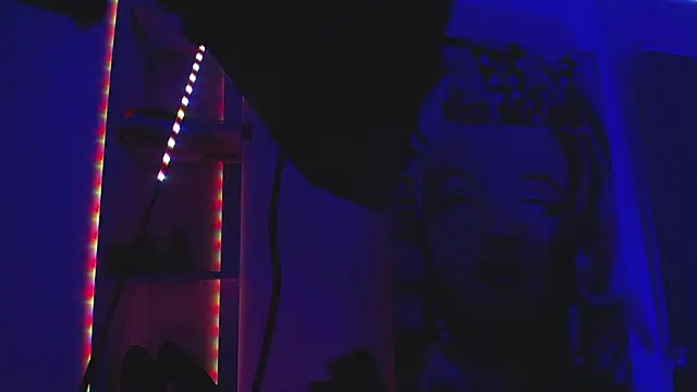 shellsy_hans webcam