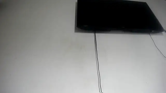 Fox_Loves
