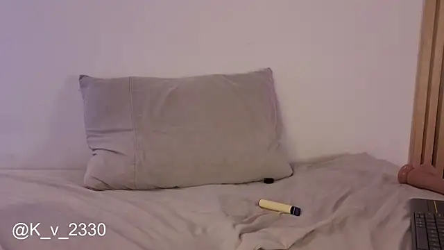 sofiesoft webcam