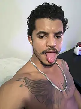 Sanicrt webcam