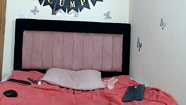VICTORYXS1 webcam