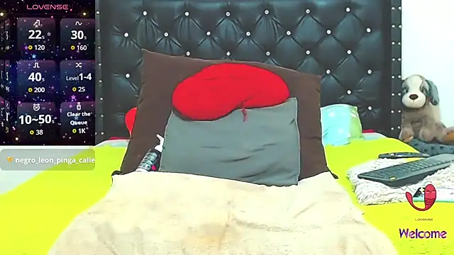 AnySugar webcam