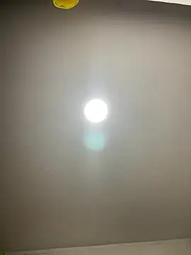 LatinBearX webcam