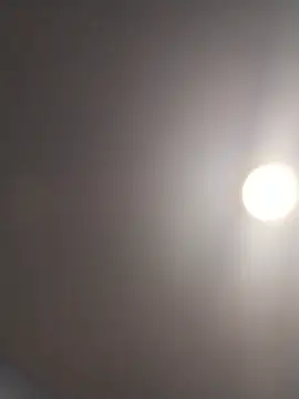 Sluttycatwomen webcam