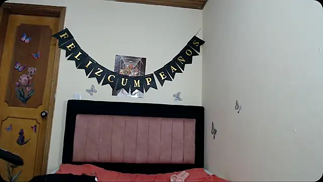 VICTORYXS1 webcam