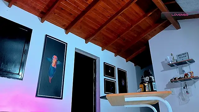 SilvaBranko webcam
