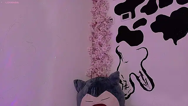 Haelycute webcam