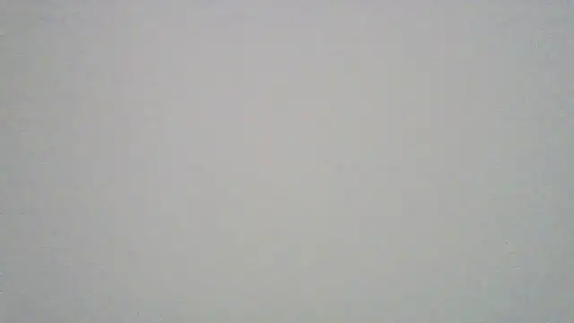 humanRobotSaki webcam