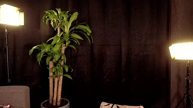 Bruno___69 webcam